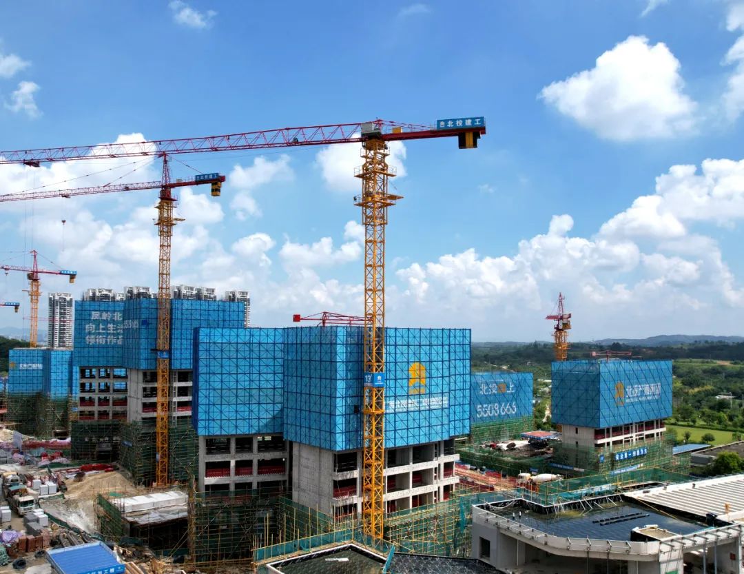 1699410927103517.jpg 640.jpg