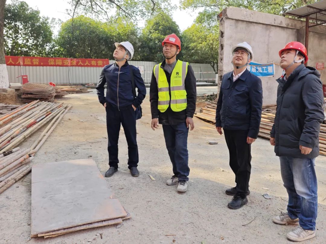 1739244623917953.jpg 3.jpg